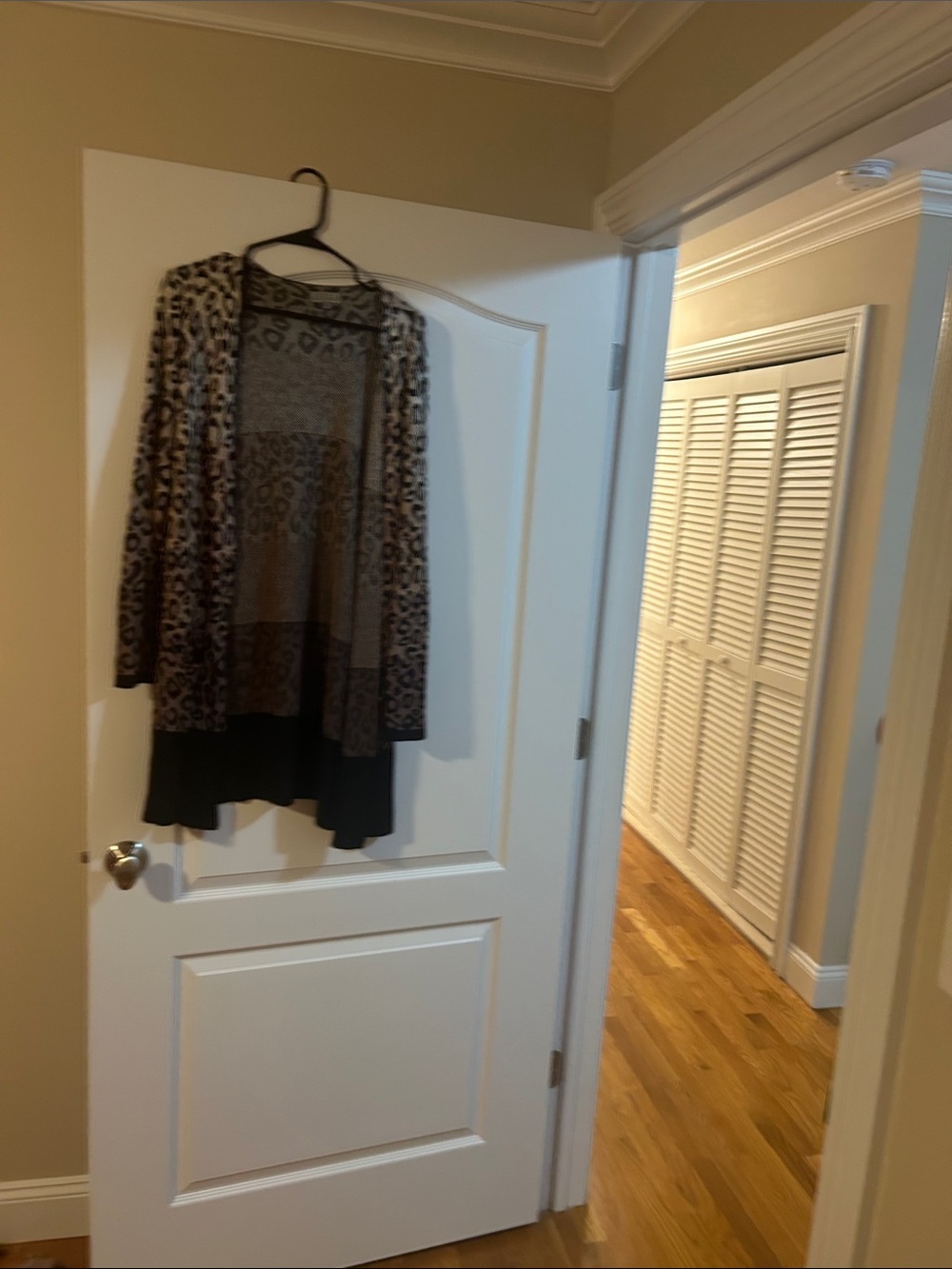 Cheetah cardigan